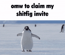 a penguin is walking in the snow with the words omw to claim my shiffig invite written above it