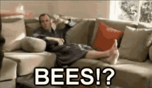 Bees Confused GIF - Bees Confused Confusion GIFs