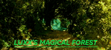 Luxx Magical Forest GIF - Luxx Magical Forest GIFs
