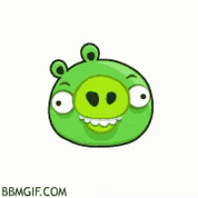 andriod green android display picture pig angry birds