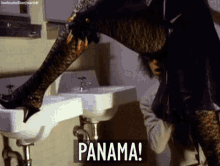 Van Halen Panama GIF - Van Halen Panama Peek A Boo GIFs