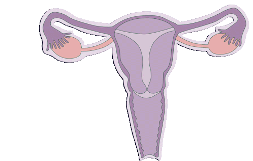 Uterus Menstruation Sticker - Uterus Menstruation Period Stickers