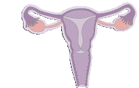 Uterus Menstruation Sticker - Uterus Menstruation Period Stickers