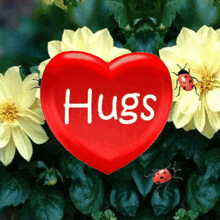 Sending Hugs Hugs And Kisses GIF - Sending Hugs Hugs Hugs And Kisses GIFs
