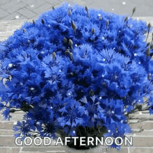 Good Afternoon Snow GIF - Good Afternoon Snow Flowers GIFs