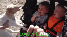 Koza Koupis GIF - Koza Koupis Fun GIFs