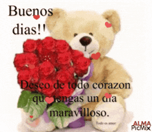 a teddy bear holding a bouquet of red roses with the words buenos dias in the background