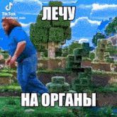 a man in a blue shirt is standing in a minecraft world with trees and grass