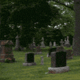a gravestone for nelson and emily nelson