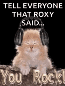 cats kittens you rock that roxy said