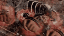 Punch Punches GIF - Punch Punches Ora GIFs