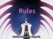 Bleach Anime GIF - Bleach Anime Rules GIFs