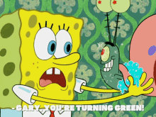 turning green spongebob spongebob squarepants gary plankton