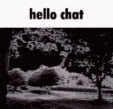 a black and white photo of a park with trees and a sign that says hello chat