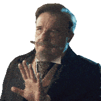 a man with a beard and mustache is wearing a black suit and tie