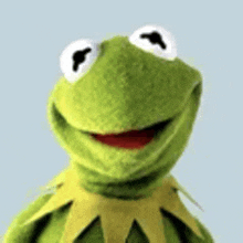 kermit the frog is smiling and looking at the camera .
