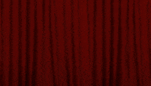 a cartoon cat with a crown on his head is standing on a stage with a red curtain behind him