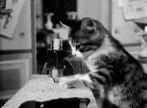Cat playing with a sewing machine.