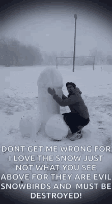 Snowbirds Dont Get Me Wrong GIF - Snowbirds Dont Get Me Wrong I Love The Snow GIFs