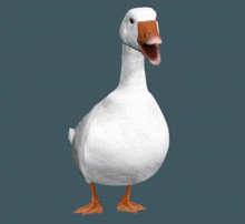 Goose Cyriak GIF - Goose Cyriak Egg GIFs