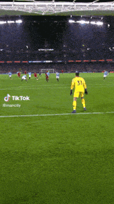 a soccer player wearing a yellow jersey with the number 31 on it