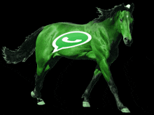 Cavalo Horse GIF - Cavalo Horse Whatsapp GIFs