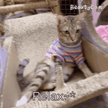 Nm Relax GIF - Nm Relax GIFs