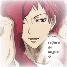 a picture of a red haired anime character with the name seijuro de miguel