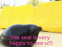a picture of a seal with the words this seal is very happy to see u.