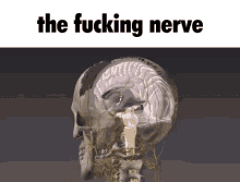 The Nerve The Fucking Nerve GIF - The Nerve The Fucking Nerve The Audacity GIFs