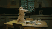 Animal Party GIF - Animal Party Dance GIFs