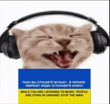 a picture of a cat wearing headphones that says while you are listening to music people are dying in ukraine