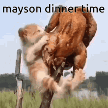 Mayson Dinner GIF
