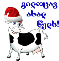 a black and white cow wearing a santa hat with foreign writing on the bottom