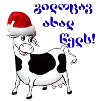 a black and white cow wearing a santa hat with foreign writing on the bottom