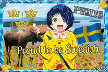 Picmix Sweden GIF