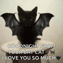 a black cat with bat wings and the words " goodnight from your bat cat i love you so much "