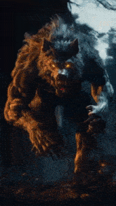 a poster for red angel wolves shows a werewolf running in the woods