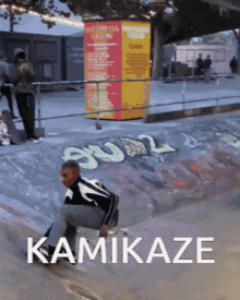 Kamikaze Calcificados GIF - Kamikaze Calcificados Skate GIFs
