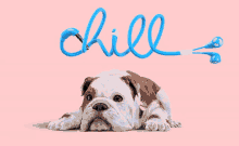 Calm Chill GIF - Calm Chill Relaxed GIFs