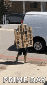 Carrying Boxes Viralhog GIF