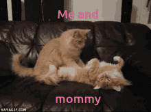 Mommy Me And You GIF - Mommy Me And You Cute GIFs