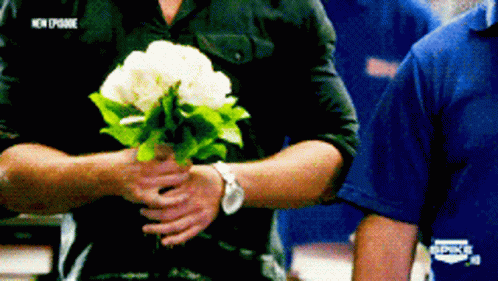 Thad Castle Bms GIF - Thad Castle BMS Blue Mountain State - Discover &  Share GIFs