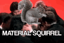Material Squirrel Material GIF - Material Squirrel Material Squirrel GIFs