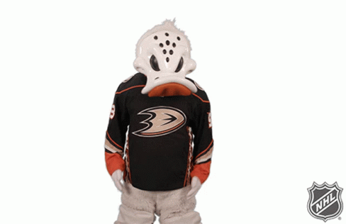 Wild Wing Anaheim Duck Mascot Costume