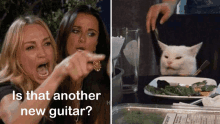 Ylia Callan Guitar Guitar Cat Memes GIF