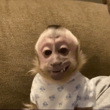 a baby monkey is sitting on a couch wearing a white shirt .