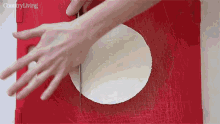 Slicing Diced GIF - Slicing Diced Cheesecake GIFs