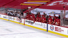 Brett Ritchie Calgary Flames GIF - Brett Ritchie Calgary Flames GIFs