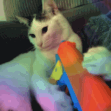a cat sitting on a couch holding a toy